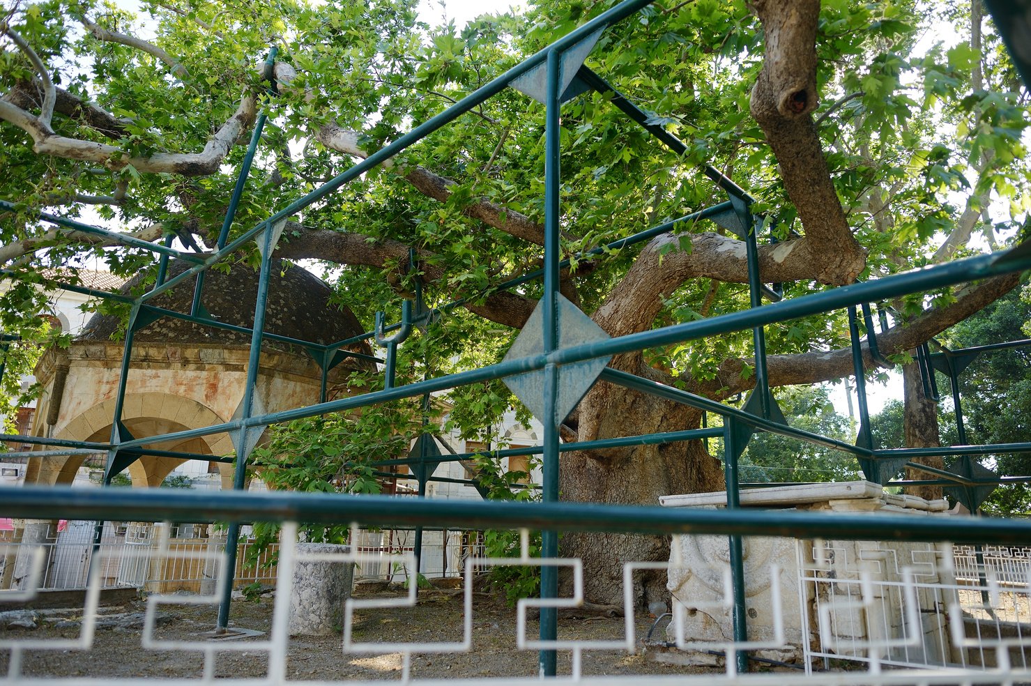 Plane Tree of Hippocrates in Kos Town