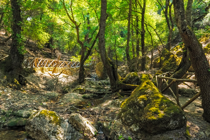 The Valley of the Butterflies Rhodes