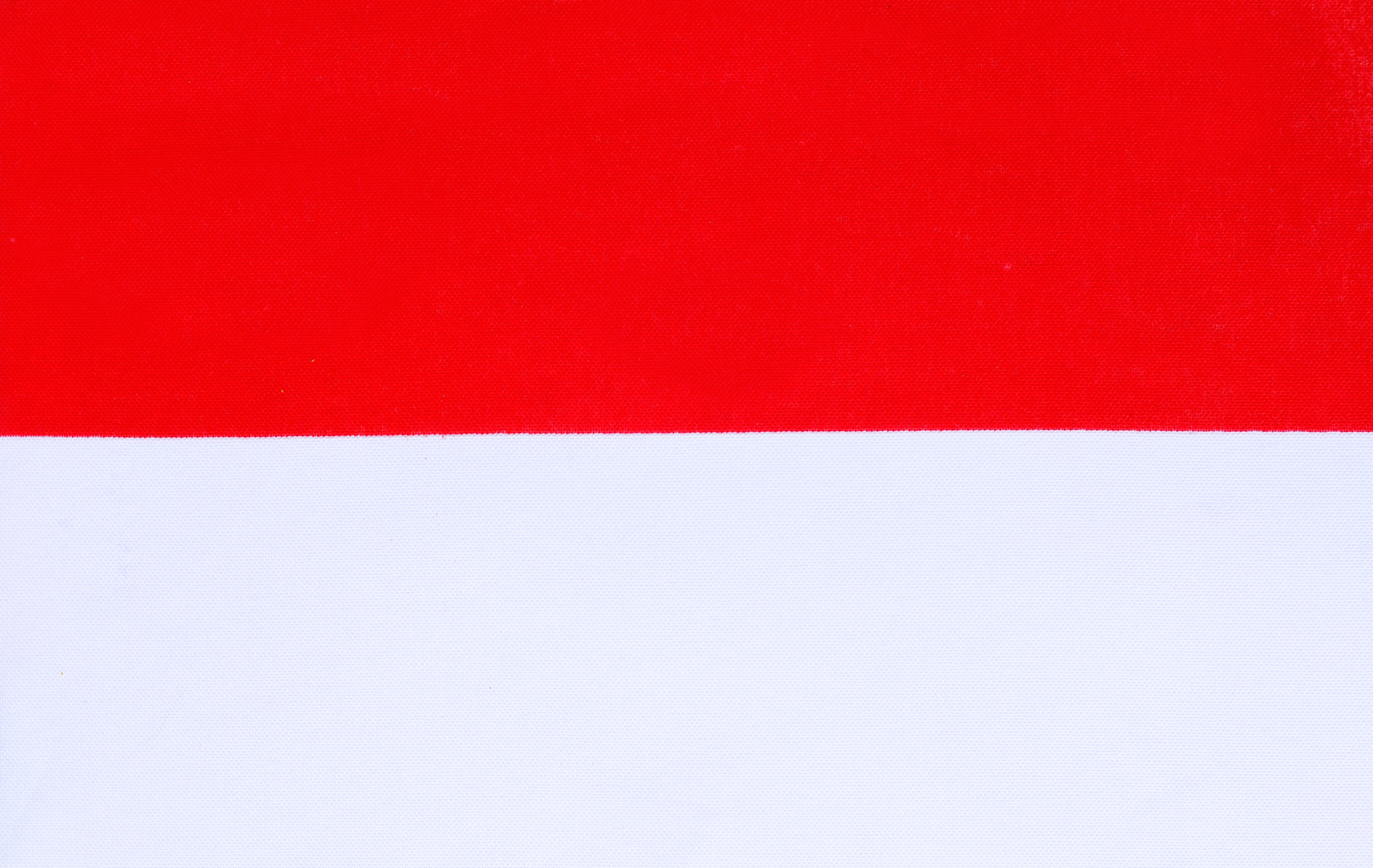 Indonesia Flag