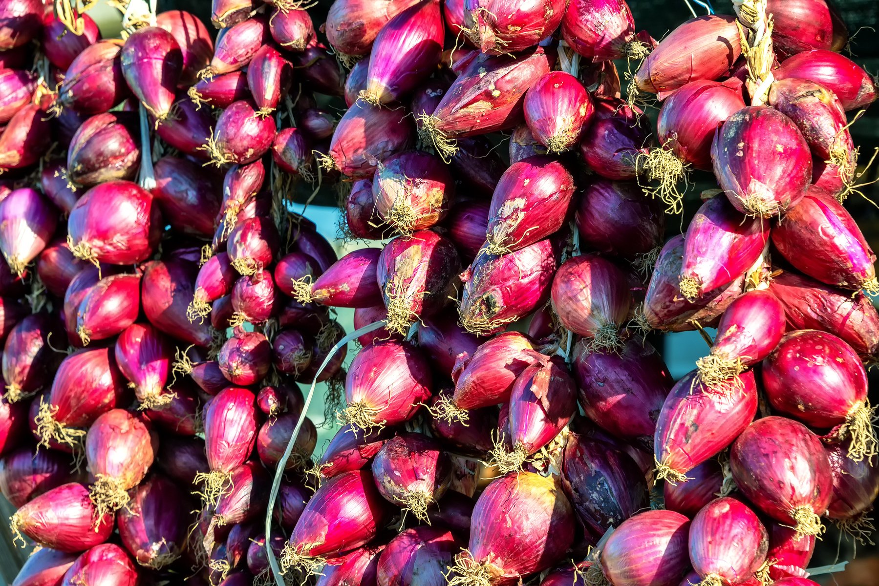 Red onions from Tropea (Tropea red onion)