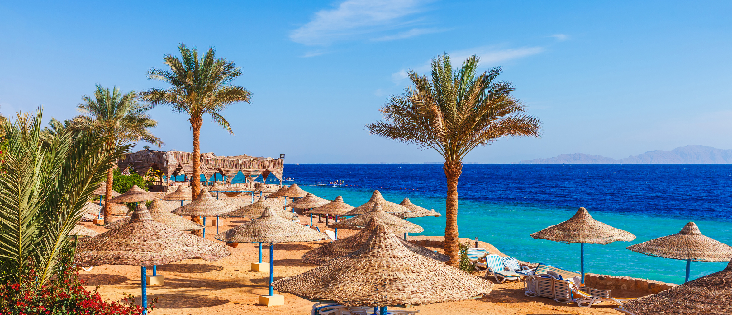 Beach and palm trees on Red Sea in Sharm el Sheikh, Sinai, Egypt